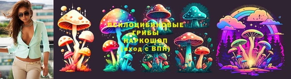 a pvp Абинск